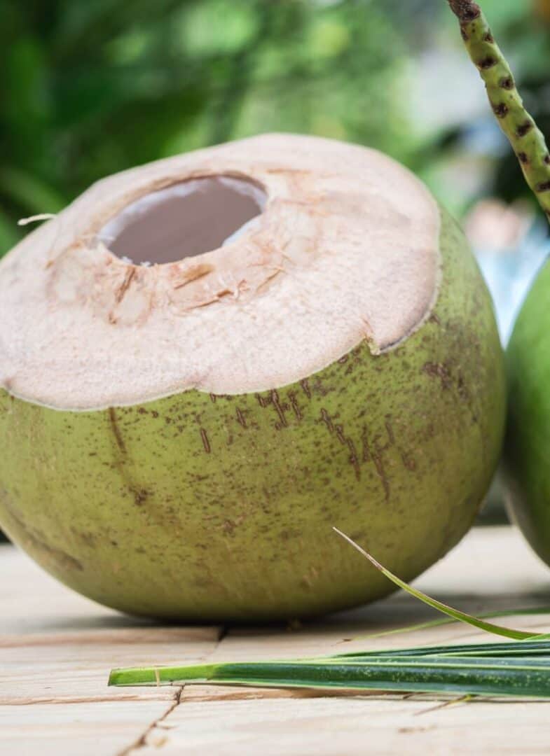 Coconut Overview, Uses, And More Chef Lola's Kitchen