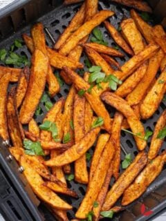 French fries made in the airfryer