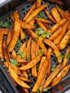 French fries made in the airfryer