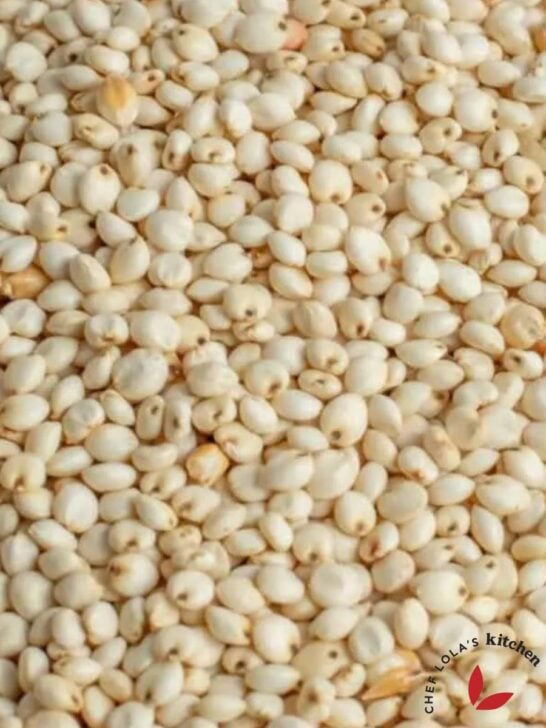 Sorghum grains