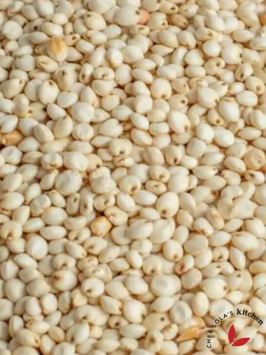 Sorghum grains