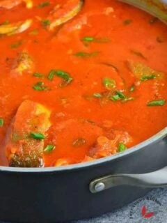 Catfish Stew